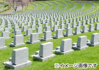 開発計画の画像